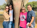 experience-the-best-elephant-ride-in-jaipur-book-now-small-0