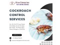 cockroach-control-services-in-hosur-road-safe-trusted-small-0