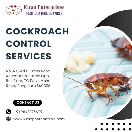 cockroach-control-services-in-hosur-road-safe-trusted-big-0