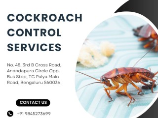 cockroach-control-services-in-hsr-layout-safe-trusted