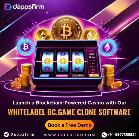 build-a-provably-fair-online-casino-with-our-bcgame-clone-solution-big-0