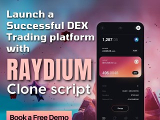 bespoke-raydium-clone-solutions-for-your-decentralized-exchange-needs