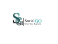 partner-with-social-media-agency-in-india-socialgo-small-0