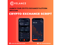 cryptocurrency-exchange-script-the-easiest-way-to-launch-your-revenue-generating-bitcoin-trading-platform-small-0
