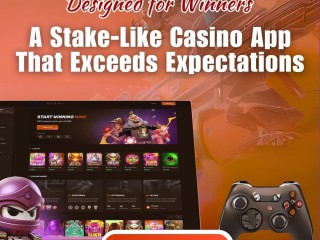 your-brand-your-casino-launch-a-stake-clone-app-and-dominate-the-market