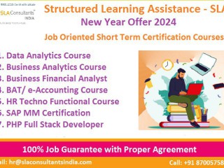 data-analytics-course-in-delhi-with-free-python-r-program-by-sla-institute-in-delhi-ncr-100-placement-learn-new-skill-of-24