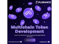 revamp-your-digital-arsenal-multichain-token-development-for-liquidity-alchemy-small-0