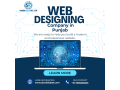 software-development-web-design-development-digital-marketing-company-in-punjab-small-0