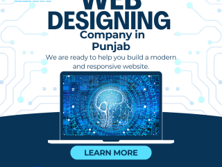 software-development-web-design-development-digital-marketing-company-in-punjab