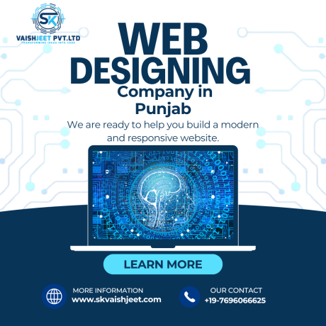 software-development-web-design-development-digital-marketing-company-in-punjab-big-0