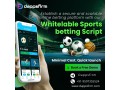 experience-a-new-level-of-betting-convenience-with-our-reliable-bookmaker-software-small-0