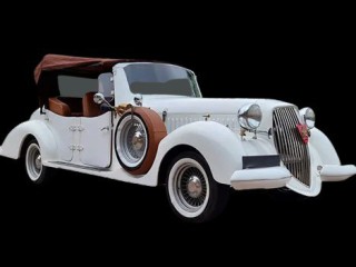 book-force-urbania-luxury-van-for-wedding-in-jaipur