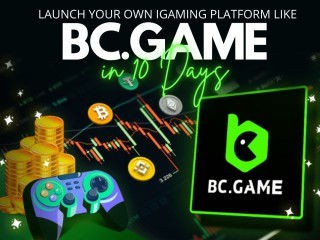 bcgame-clone-script-with-enhanced-api-support-for-game-expansion