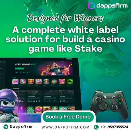 offer-reliable-high-performance-gaming-with-our-stake-casino-clone-big-0