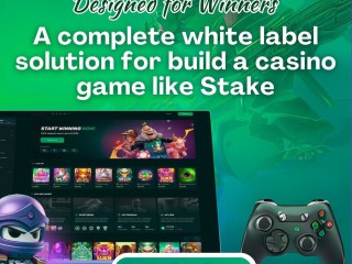 step-into-the-crypto-casino-market-with-our-robust-stakeus-clone-solution