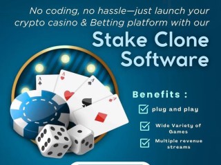 affordable-stake-clone-script-to-build-your-profitable-online-casino