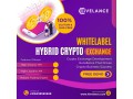 launch-your-elite-hybrid-crypto-exchange-at-low-cost-small-0