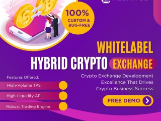 launch-your-elite-hybrid-crypto-exchange-at-low-cost