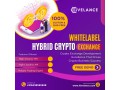 launch-your-elite-hybrid-crypto-exchange-at-low-cost-small-1
