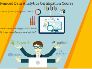 the-evolving-role-of-data-analyst-why-learning-data-analyst-in-2025-matters-100-job-in-top-data-analyst-course-in-delhi